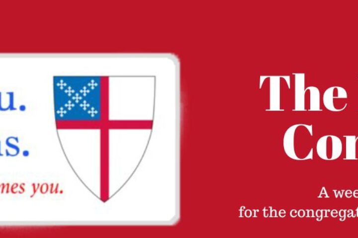 Newsletter header with Episcopal Shield